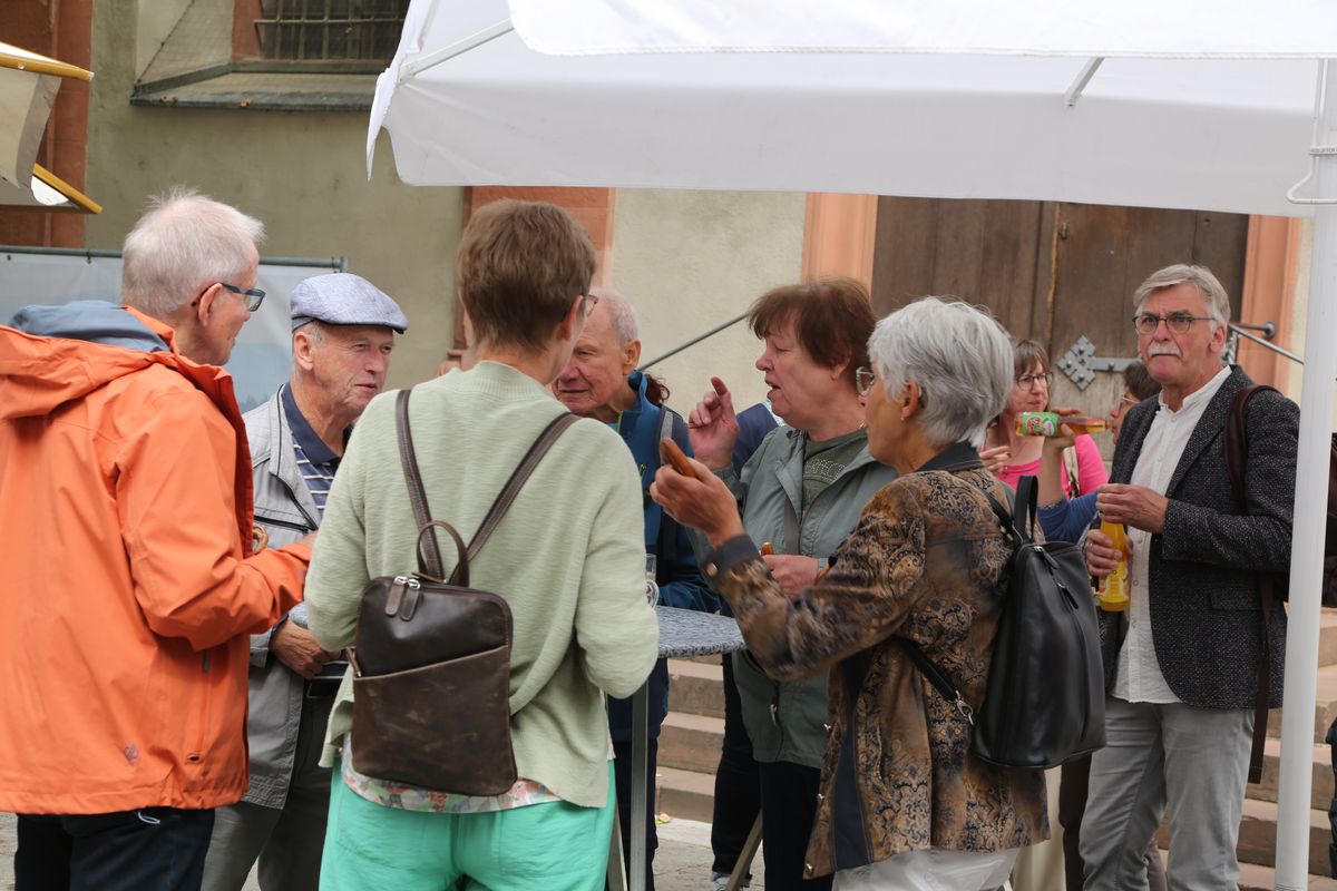 Weihbischof em. Ulrich Boom hat am Dienstag, 8. Juli, einen Kiliani-Gottesdienst für die Region Aschaffenburg und die Pfarrhausfrauen aus dem gesamten Bistum im Würzburger Kiliansdom gefeiert.