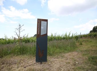 3020/0769 Franziskusweg Handthal_22375