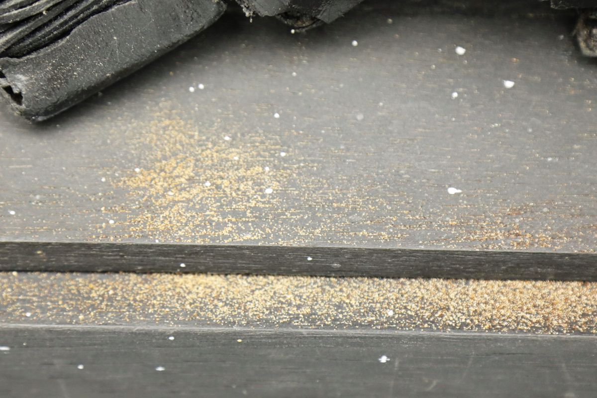 3121/0750 Museum am Dom_29327