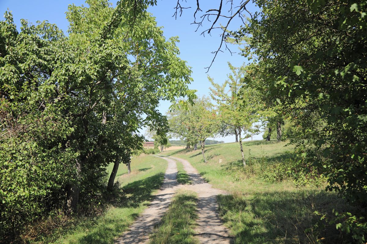 Der größte Teil des Bildstockwegs führt durch Felder und Wiesen.