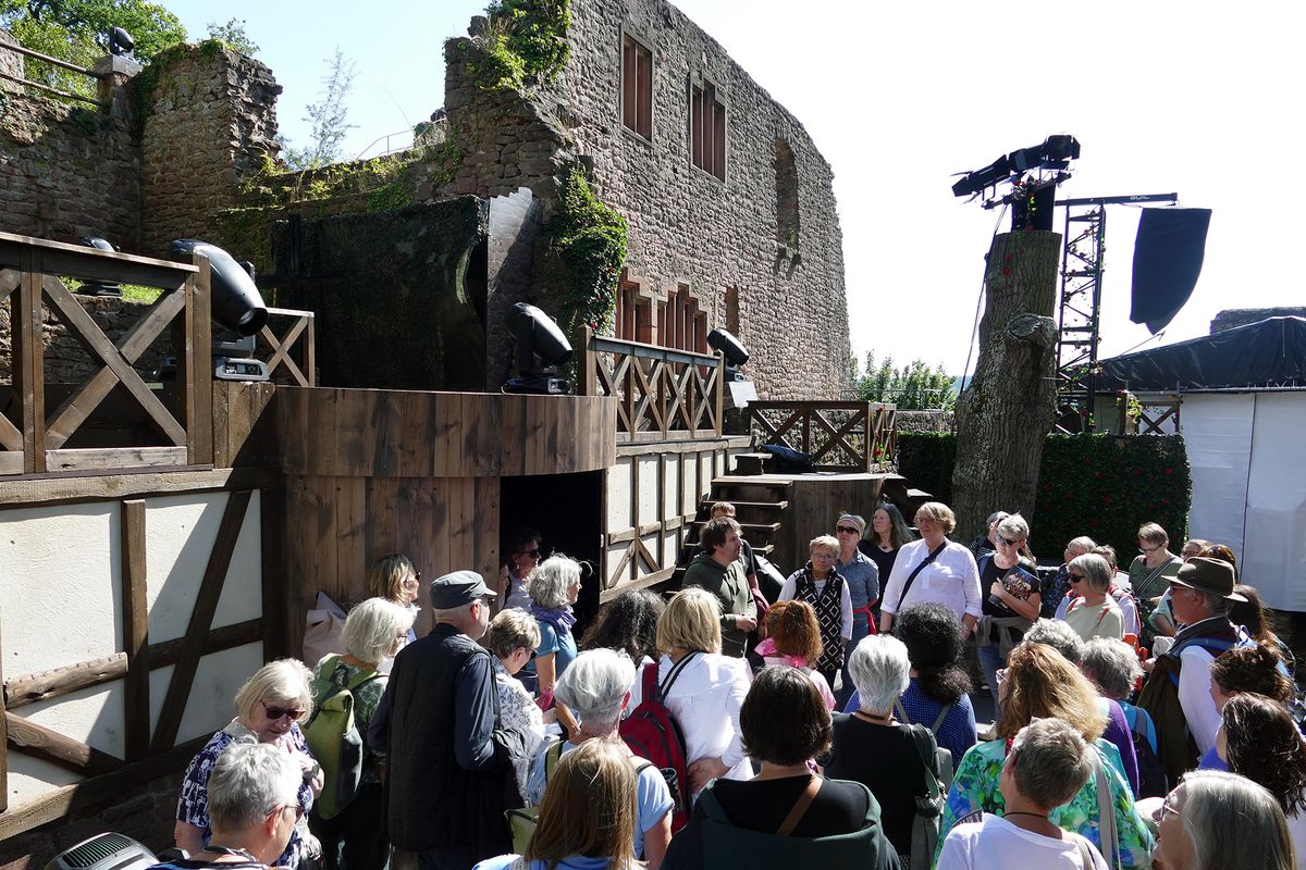 3025/0790 Musical Elisabeth - Legende einer Heiligen_60567