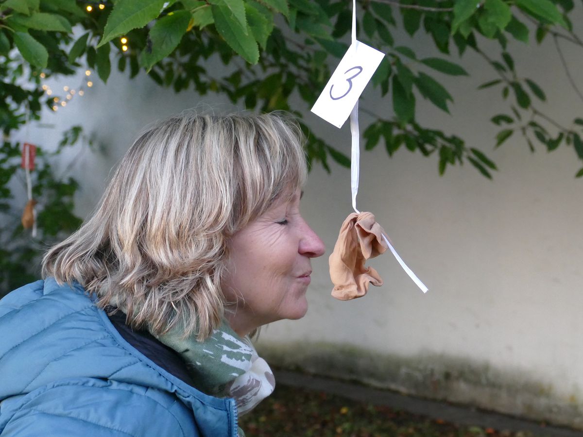 Viel zu entdecken gab es im Sinnesgarten, den die Aschaffenburger Gruppe des Frauenbundes im Marienstift aufgebaut hatte. Viel zu entdecken gab es im Sinnesgarten, den die Aschaffenburger Gruppe des Frauenbundes im Marienstift aufgebaut hatte.