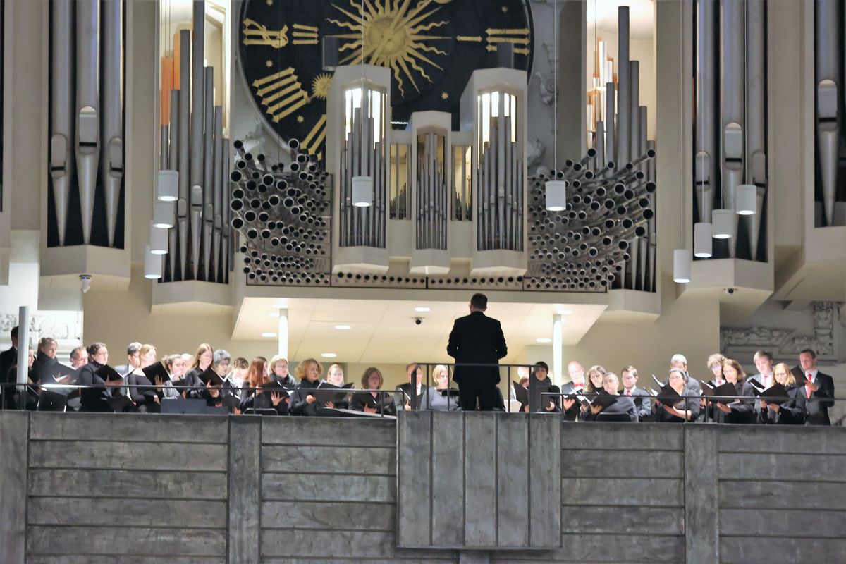 Mit der Messe vom Letzten Abendmahl am Gründonnerstag, 14. April, hat Bischof Dr. Franz Jung im Würzburger Kiliansdom die drei österlichen Tage vom Leiden und Sterben, von der Grabesruhe und der Auferstehung des Herrn eröffnet.