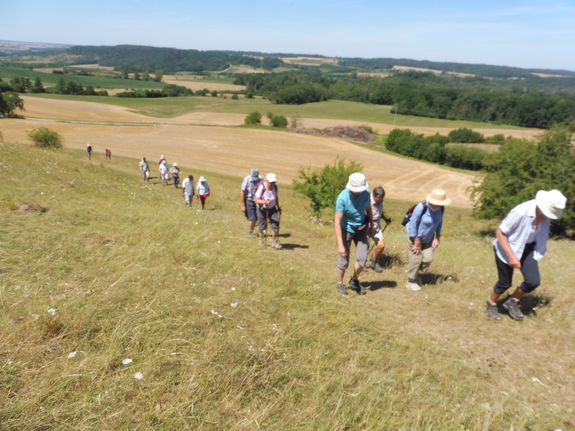 Ein Schwerpunkt der Seniorenarbeit lag für Pfarrer Franz Schmitt auf den religiösen Wanderfreizeiten und Wanderexerzitien: "Man ist gemeinsam in der Natur unterwegs, kann den Glauben und Lebensfragen teilen." Das Foto entstand bei einer reliigiösen Wanderfreizeit auf dem europäischen Wasserscheideweg von Ansbach bis Schillingsfürst im Juli 2020.