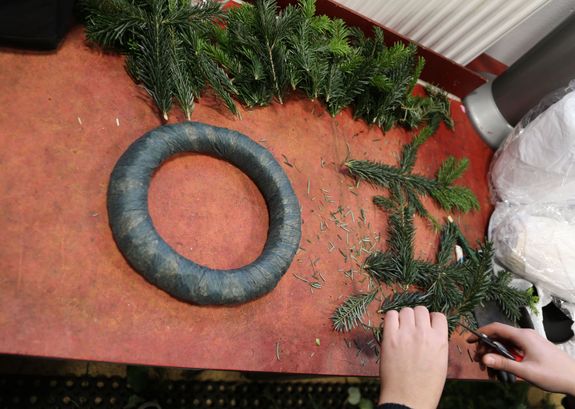 Die Tannenzweige werden in unterschiedliche Längen geschnitten. Es sollten kleine, mittlere und große Zweige abgeschnitten und zurechtgelegt werden. Dabei werden die Stiele entfernt, damit der Kranz nicht zu dick wird. Am besten werden möglichst dünne Zweige verwendet. 