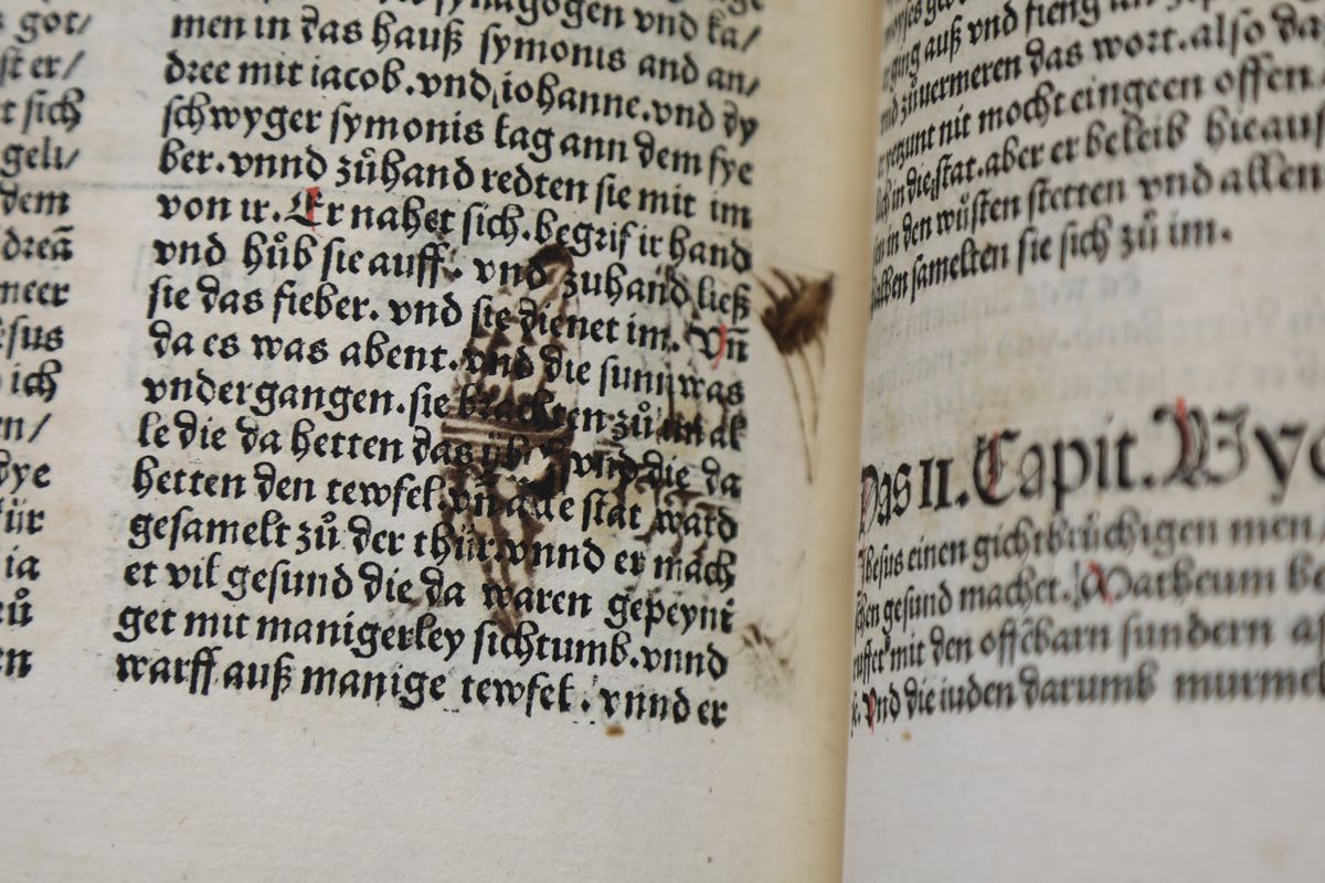 Sieht auf den ersten Blick aus wie ein versehentlich plattgedrücktes Insekt...  Sieht auf den ersten Blick aus wie ein versehentlich plattgedrücktes Insekt...