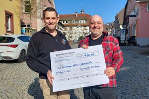 1124/0290 Diözesanrat spendet_45345