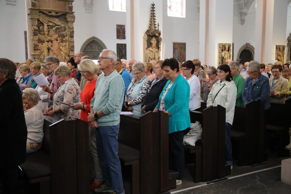 2919/0770_Kiliani_Dekanate_KG-HAB-HAS-SW_16287