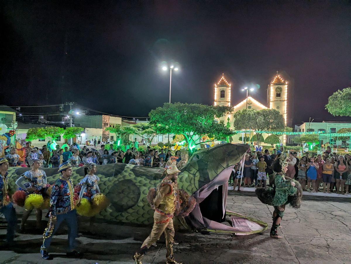 3225/0843 Gesamtbericht Brasilien_61044