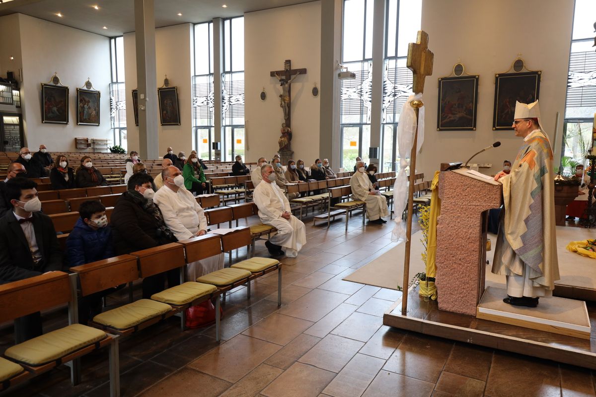 1421/0350 Diakone_26341