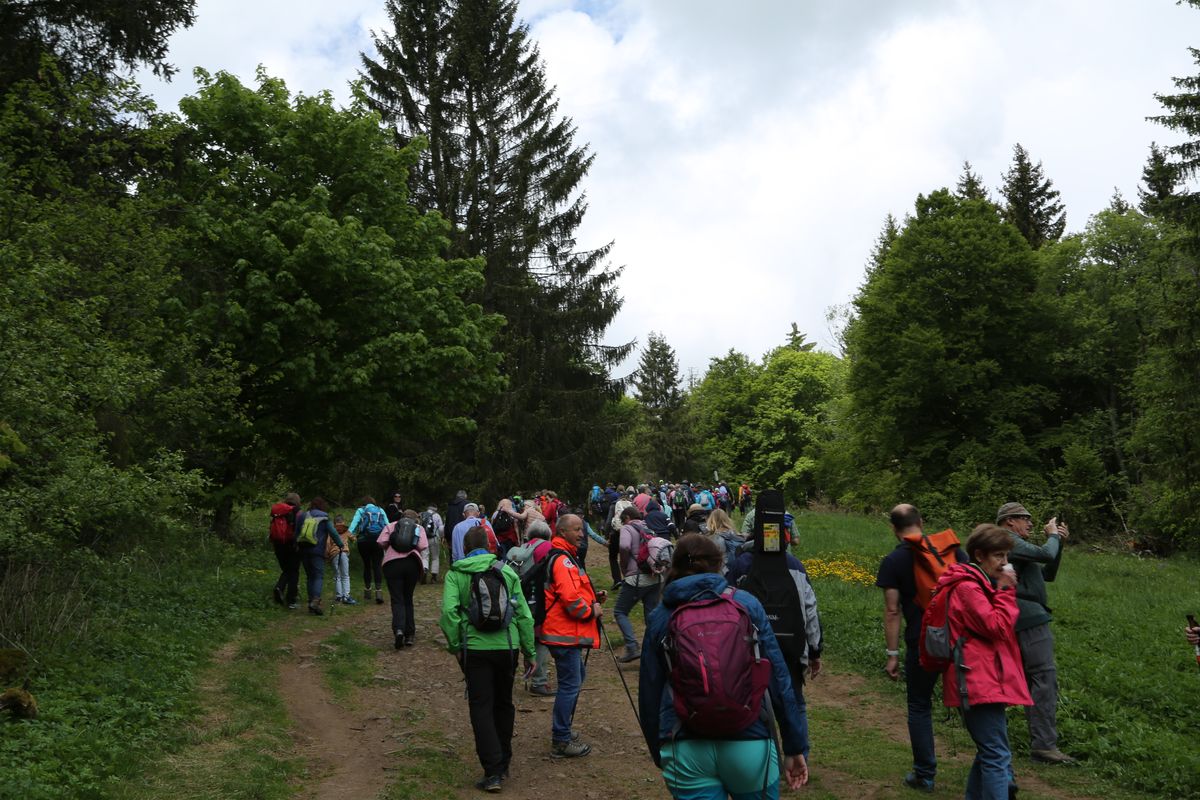 Fast 400 Gläubige haben an der Ökumenischen Kreuzbergwallfahrt mit Bischof Jung und Regionalbischöfin Bornowski teilgenommen.  Fast 400 Gläubige haben an der Ökumenischen Kreuzbergwallfahrt mit Bischof Jung und Regionalbischöfin Bornowski teilgenommen.
