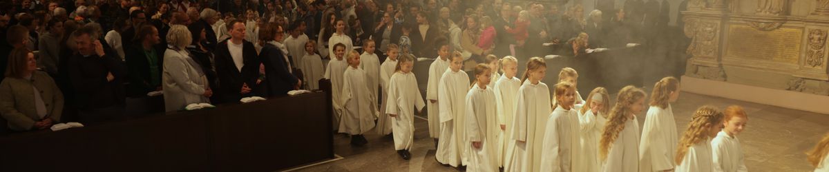 4225/1048 Dommusik neue Sänger_62892