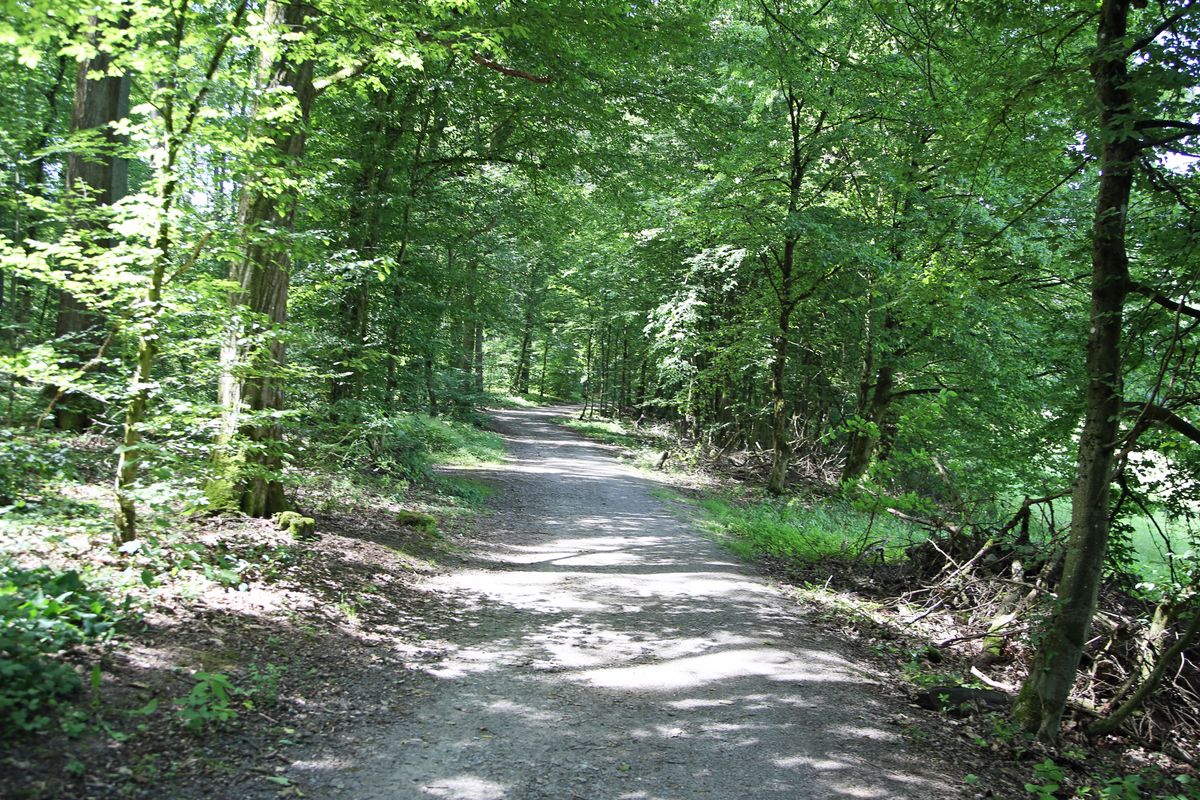 „Besinnung heißt auch, mit allen Sinnen diesen Weg zu gehen“, sagt Ursula Summa.