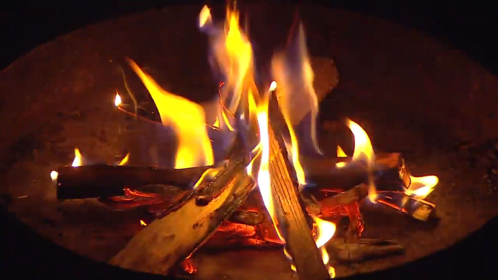 1620/0446 Osternacht_20793