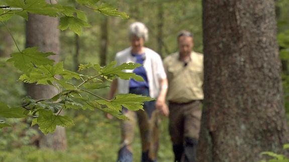 Unterwegs im Naturpark Fichtelgebirge. Unterwegs im Naturpark Fichtelgebirge.