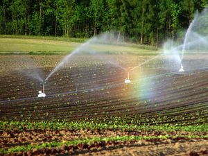 Wassersprenger Wassersprenger