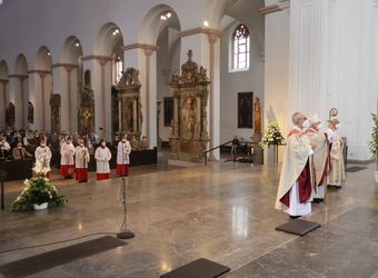 Im Anschluss an den Ehejubilarsgottesdienst mit Weihbischof Ulrich Boom am Freitagvormittag, 2. Juli, konnten sich die Paare von ihm und weiteren Priestern und Diakonen segnen lassen.