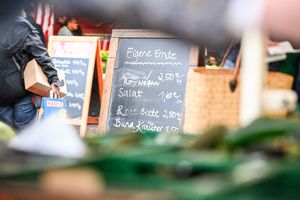 Jesu Aufforderung, Gott zu geben, was Gott gehört, führt zu der Frage: Was können wir dem Herrn zurückgeben? Was ist unsere "eigene Ernte"?