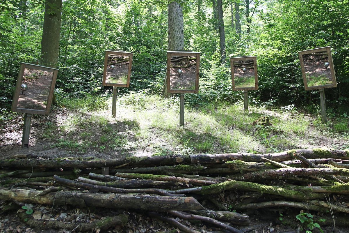 Jeder sieht die Welt anders, das macht die letzte Station „Bilder“ deutlich.