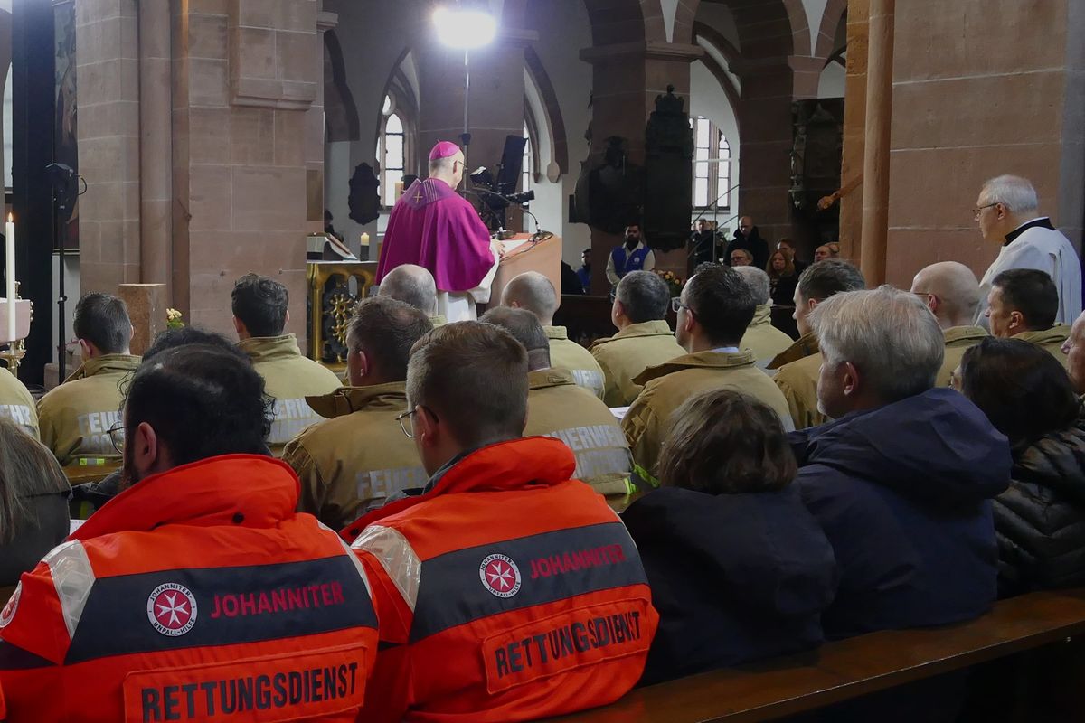 0525/0118 Godi AB Vogt_55888