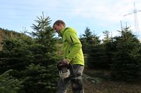 5121/1248_Säge_31421