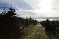 5121/1248_Blick_31415