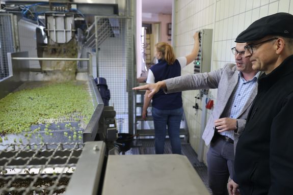 Weingutsleiter Joachim Brand (2. von rechts) erklärt Bischof Dr. Franz Jung, wie bei angelieferten Lesegut Saft und ganze Trauben vor dem Pressen getrennt werden. 
