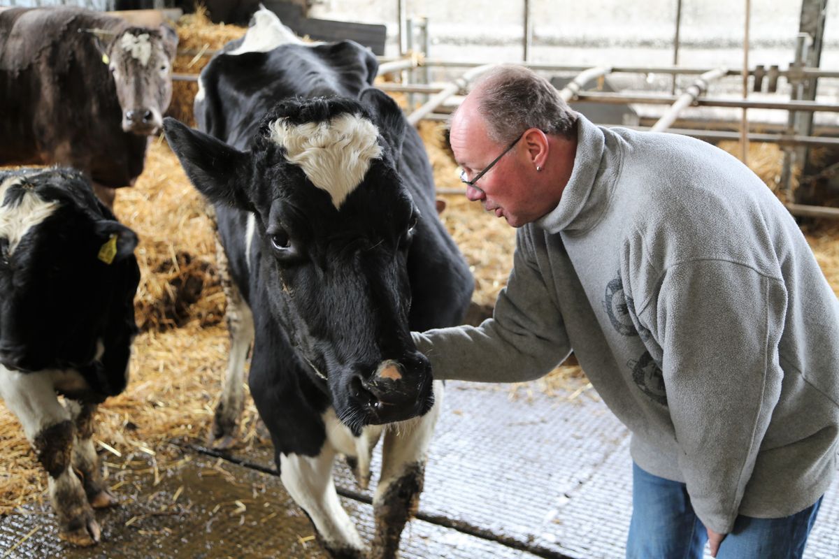 1024/0255_Prokschi Kuh_45063