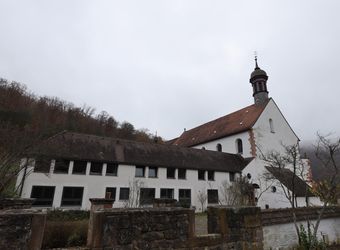 4920/1234 Schönau Brauerei_24175