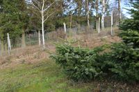 5121/1248_schräg_31419