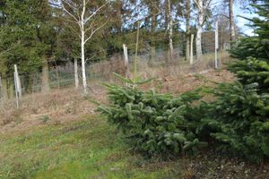 5121/1248_schräg_31419