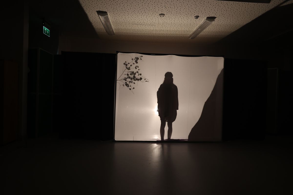 Ein abwechslungsreiches Musikprogramm sowie Schattentheater gab es am Abend des 4. Oktober in Mullagh zu Ehren der Frankenapostel.