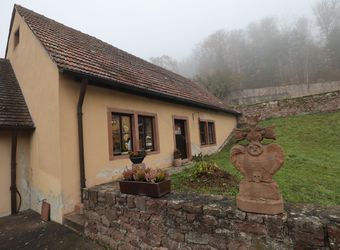 4920/1234 Schönau Brauerei_24158