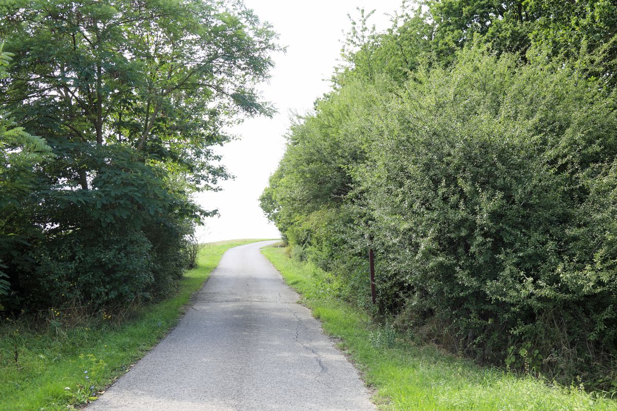 Der Weg führt hauptsächlich über ebene, gut gepflegte Wege, und ist auch für ältere Menschen gut geeignet.