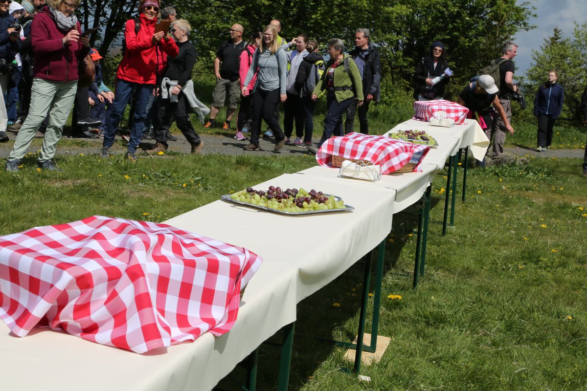 Fast 400 Gläubige haben an der Ökumenischen Kreuzbergwallfahrt mit Bischof Jung und Regionalbischöfin Bornowski teilgenommen.  Fast 400 Gläubige haben an der Ökumenischen Kreuzbergwallfahrt mit Bischof Jung und Regionalbischöfin Bornowski teilgenommen.