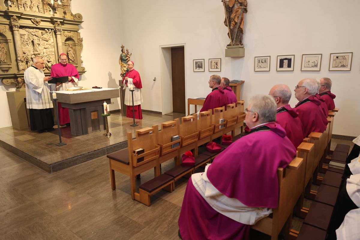 Weihbischof Paul Reder ist am Freitag, 10. Mai, offiziell in sein Amt als Dompropst eingeführt worden - zunächst in der Kapelle des Bischofshauses, dann bei einem Pontifikalgottesdienst im Kiliansdom. Dabei wurde besonders an Bischof em. Dr. Paul-Werner Scheele erinnert, der am 10. Mai 2019 starb.