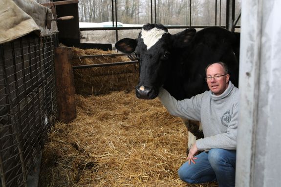 1024/0255_Prokschi Kuh_45065