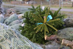 5121/1248_bunte Markierung_31412