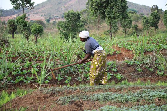 2725/0683 Mbinga Kooperative Umoja und Frauengruppe Upendo_58865