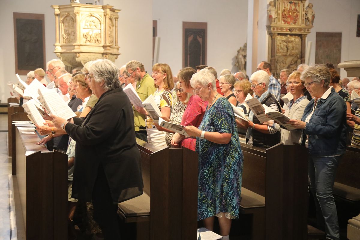 Weihbischof Paul Reder feierte am Samstag, 12. Juli 2025, einen Kiliani-Gottesdienst mit Kirchenchören sowie Kirchenmusikern und -musikerinnen aus dem ganzen Bistum.