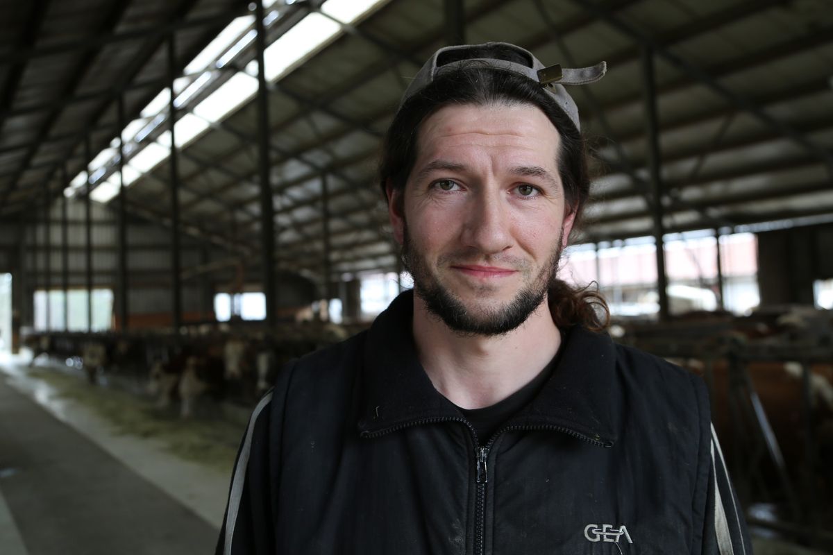 1024/0255_Prokschi Kuh_45064