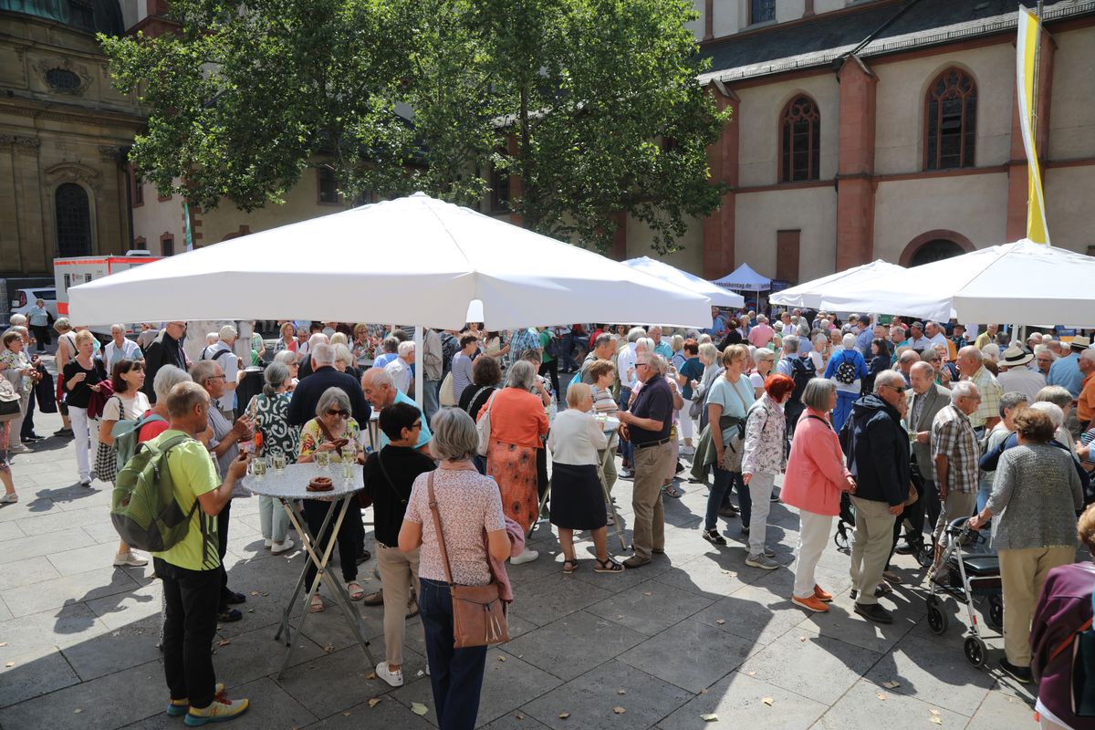 Bischof Dr. Franz Jung feierte am Donnerstag, 10. Juli 2025, einen Kiliani-Wallfahrtsgottesdienst mit Gläubigen aus der Region Würzburg. Eine Begegnung auf dem Kiliansplatz schloss sich an.