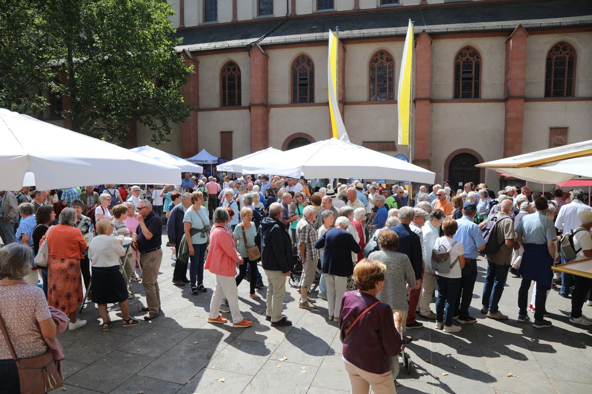 Bischof Dr. Franz Jung feierte am Donnerstag, 10. Juli 2025, einen Kiliani-Wallfahrtsgottesdienst mit Gläubigen aus der Region Würzburg. Eine Begegnung auf dem Kiliansplatz schloss sich an.