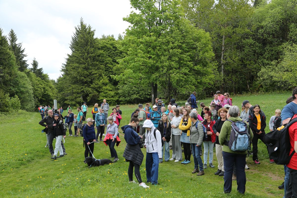 Fast 400 Gläubige haben an der Ökumenischen Kreuzbergwallfahrt mit Bischof Jung und Regionalbischöfin Bornowski teilgenommen.  Fast 400 Gläubige haben an der Ökumenischen Kreuzbergwallfahrt mit Bischof Jung und Regionalbischöfin Bornowski teilgenommen.
