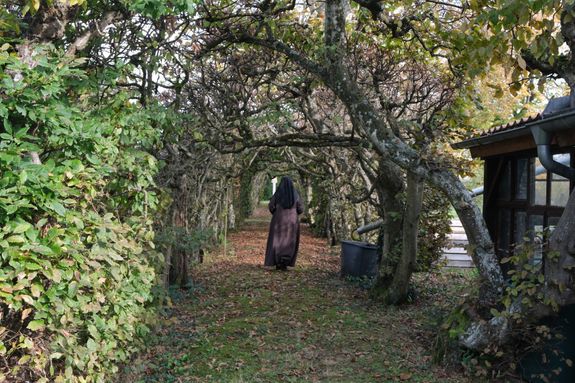 Der Laubengang des Klosters Rödelmaier. Der Laubengang des Klosters Rödelmaier.