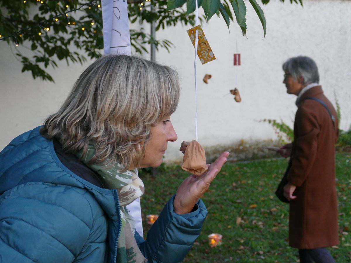 Viel zu entdecken gab es im Sinnesgarten, den die Aschaffenburger Gruppe des Frauenbundes im Marienstift aufgebaut hatte. Viel zu entdecken gab es im Sinnesgarten, den die Aschaffenburger Gruppe des Frauenbundes im Marienstift aufgebaut hatte.