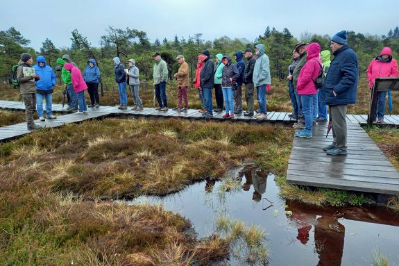 2024/0539 Führung durch Schwarzes Moor_47530