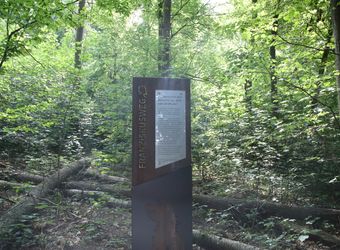 3020/0769 Franziskusweg Handthal_22373