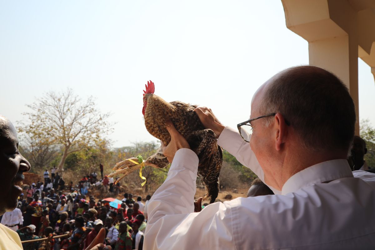 Bischof Dr. Franz Jung bekommt in Nkile mehrere Hühner geschenkt. Bischof Dr. Franz Jung bekommt in Nkile mehrere Hühner geschenkt.