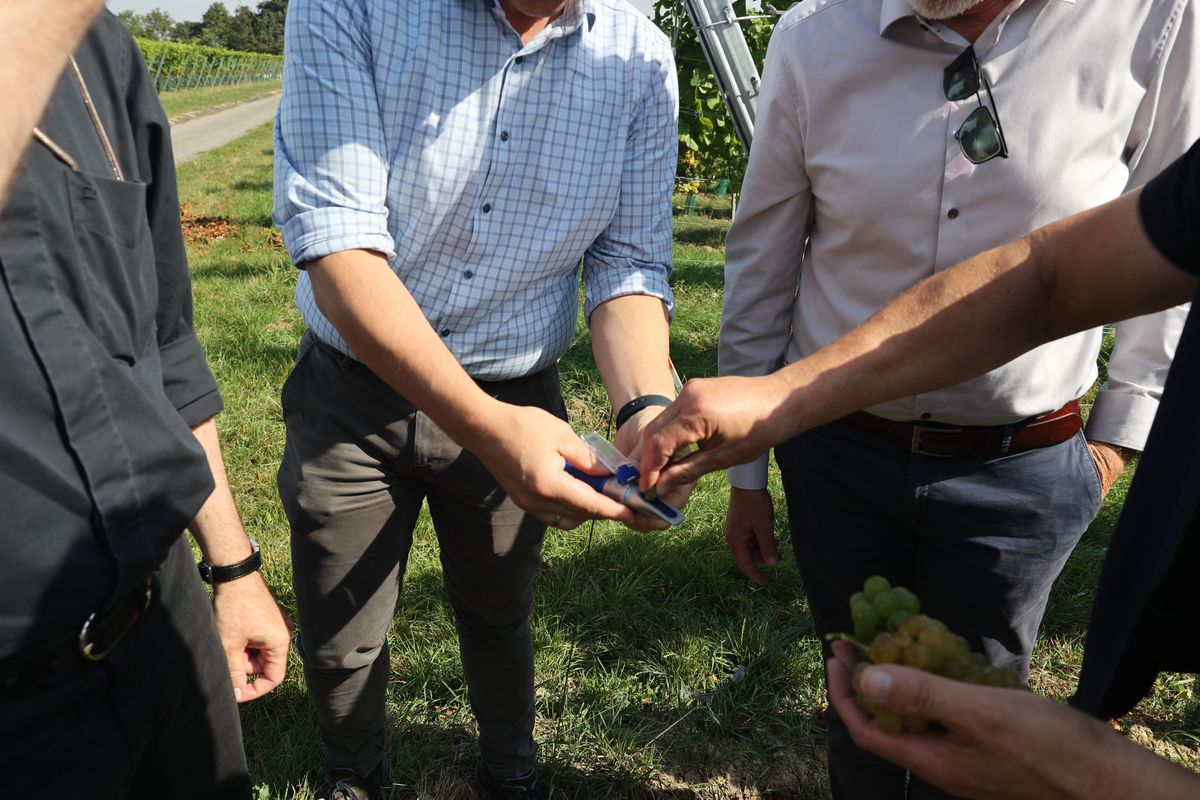 Bischof Dr. Franz Jung besuchte am Mittwoch, 18. September, Weinbau und Landwirtschaft der Stiftung Juliusspital.
